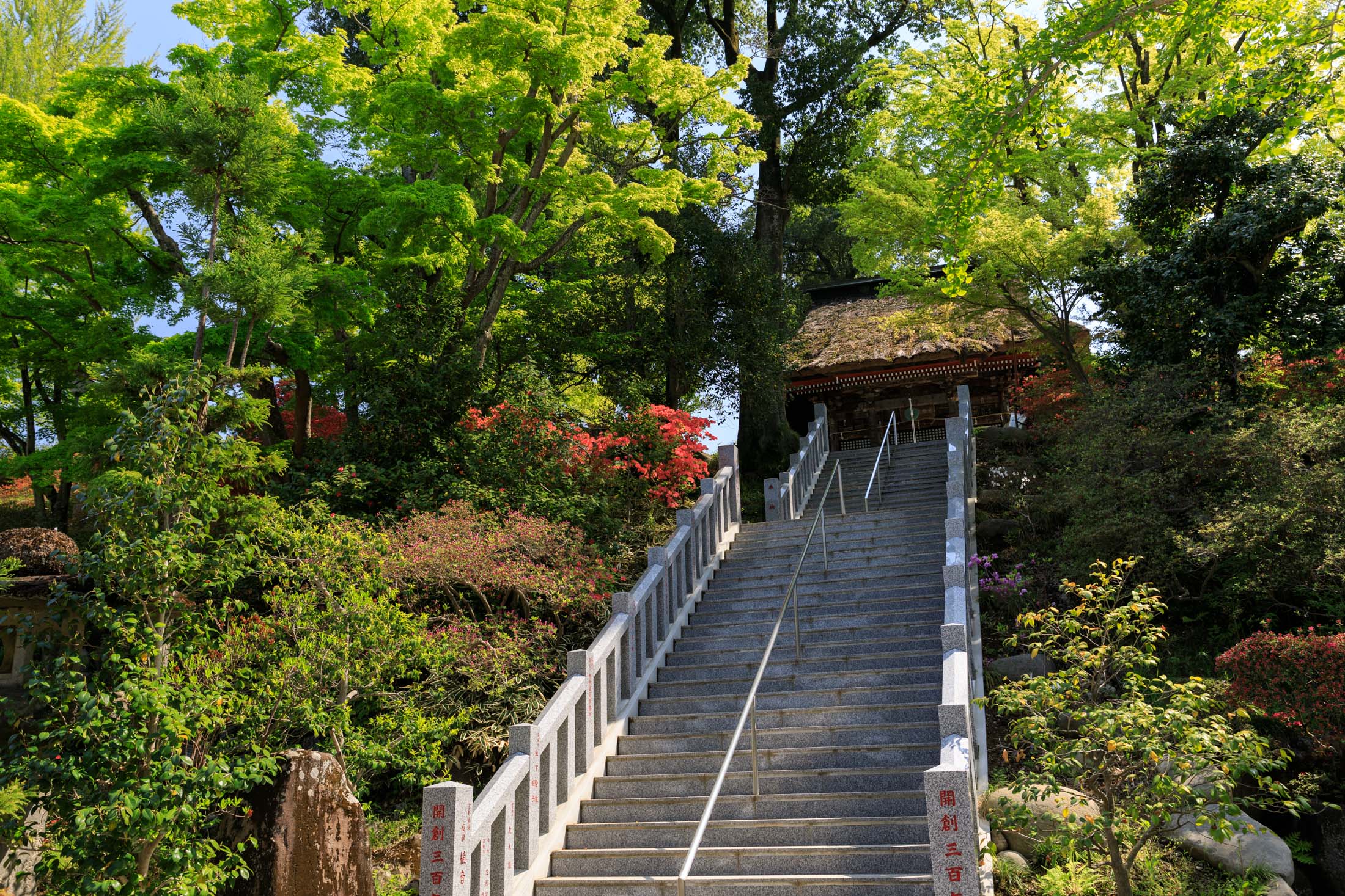 Shōrinzan Daruma-ji Temple