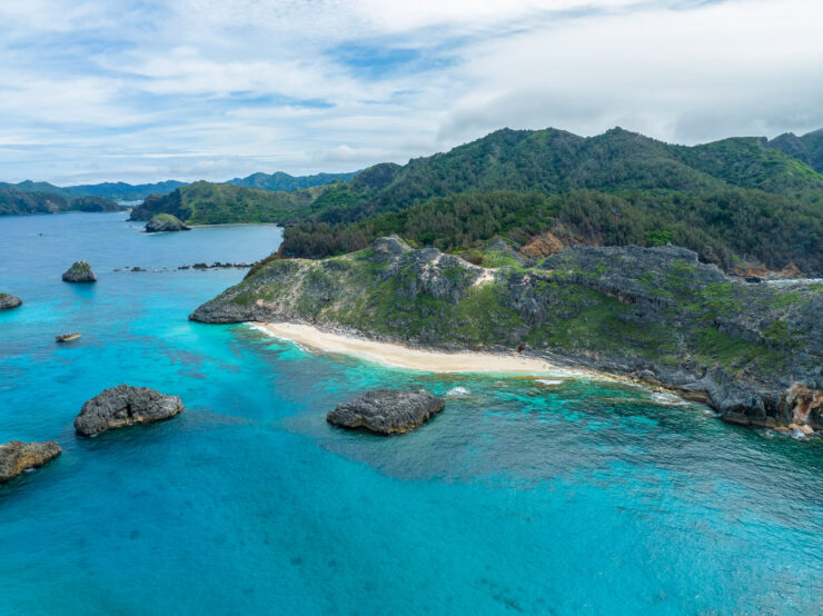 Lush Tropical Coastal Landscape, Jini Beach