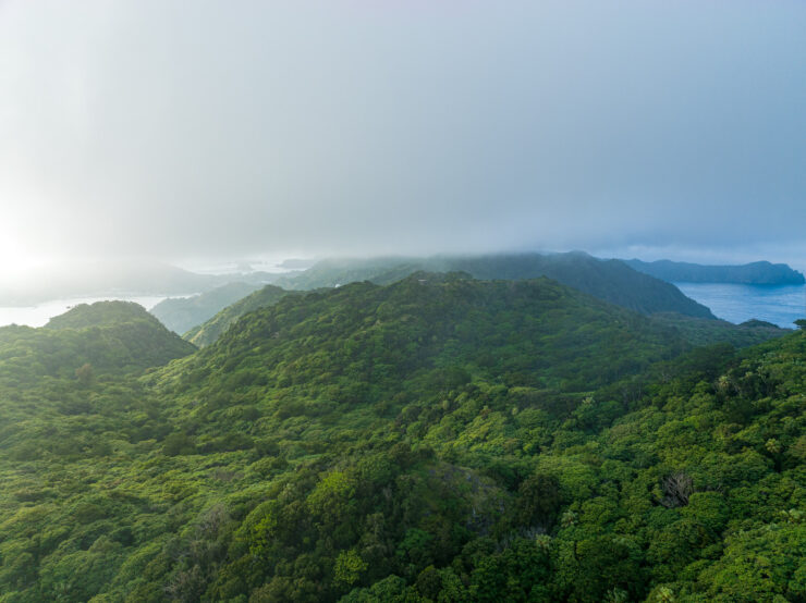 Vibrant green aerial mountainscape reflecting tranquil waters