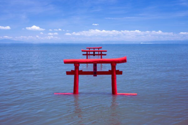 Iconic Floating Torii Gate at Ouo Shrine, Japan