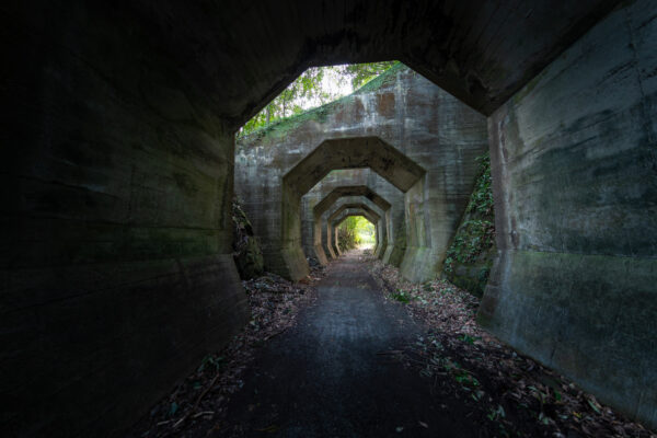 Eerie abandoned tunnel, arched openings, overgrown nature.