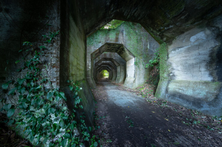 Overgrown abandoned forest railway tunnel archway