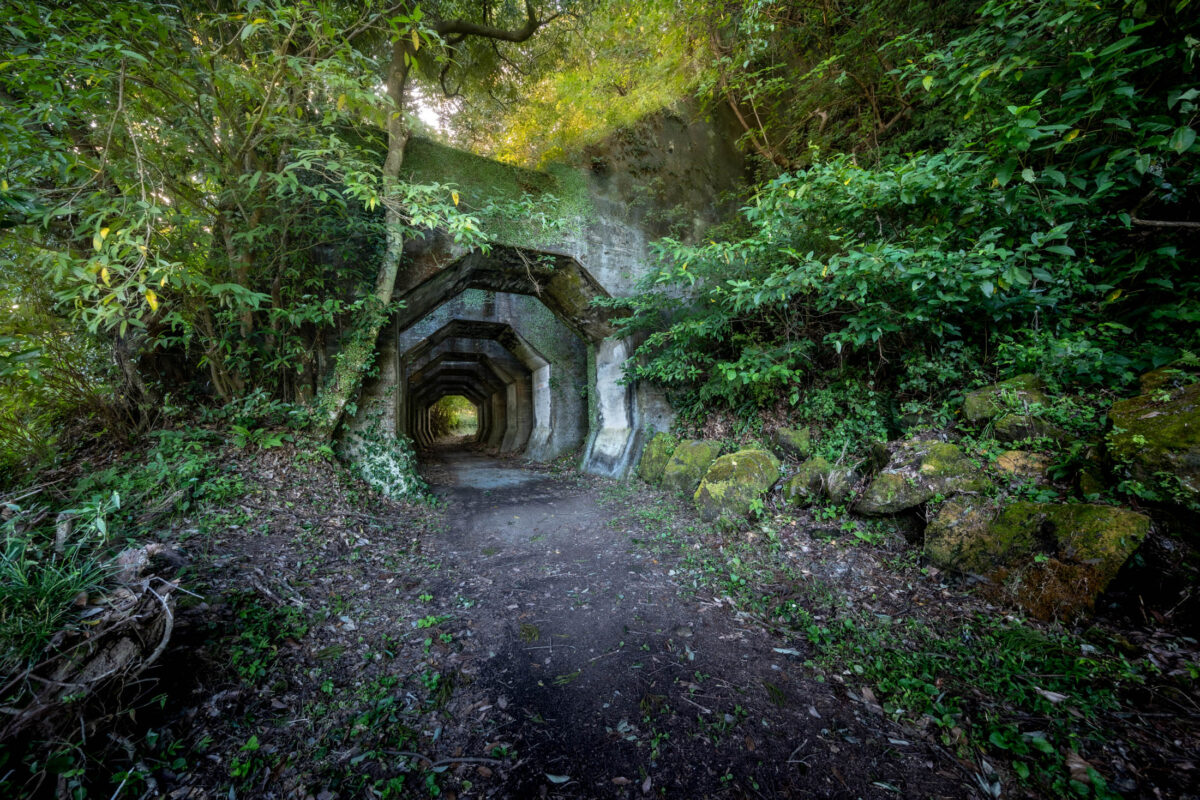 Octagon Tunnel