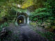 Verdant forest railway tunnel path allure