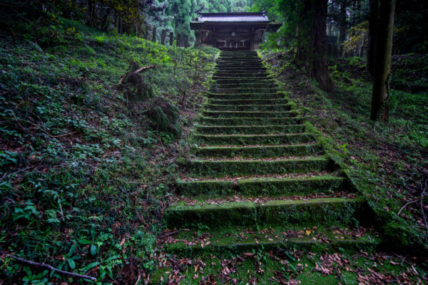 Tranquil moss-covered stone path to forest shrine