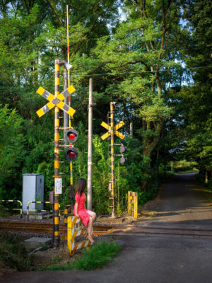 Tranquil woodland railroad crossing signage
