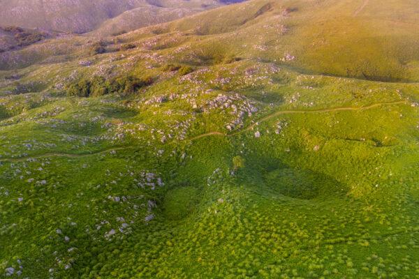 Lush Green Akiyoshidai Panorama, Winding Stream