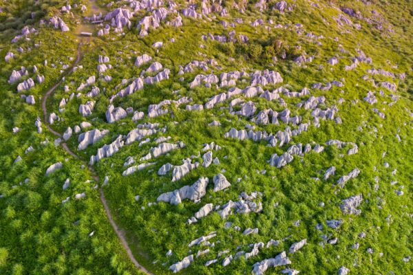 Akiyoshidais rocky terrain, lush greenery contrast.