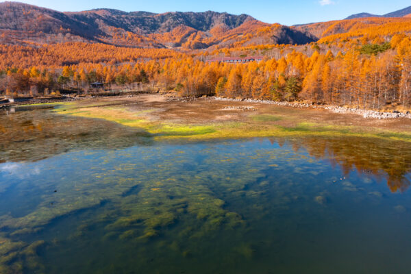 Vibrant autumn lake mirroring foliage, distant peaks.