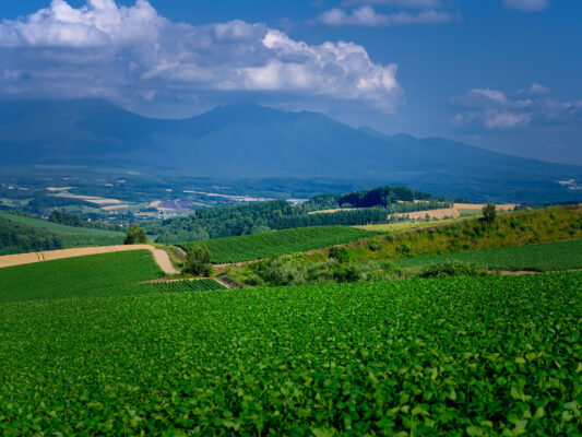 Lush valley farmland mountain landscape vista