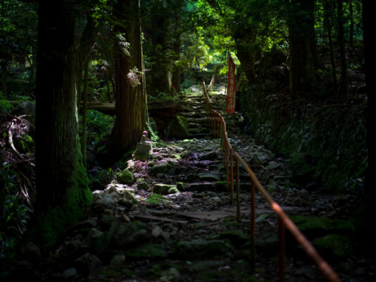 Mossy forest trail at Jinjoji Temple, Japan