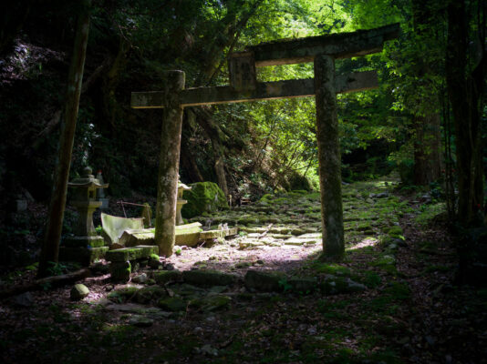 Mystical forest shrine, secluded sanctuary