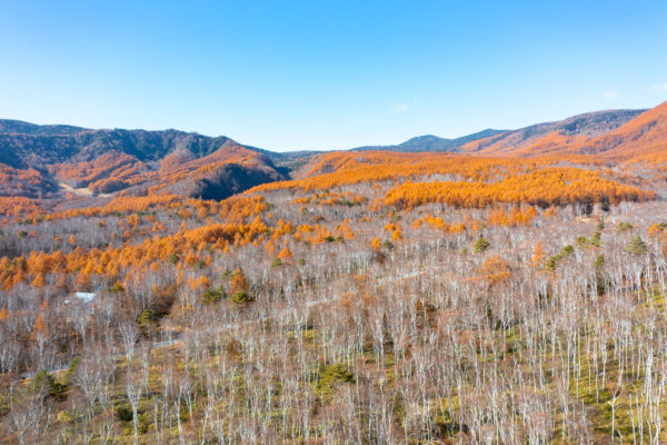 Vibrant autumn foliage mountainscape photography