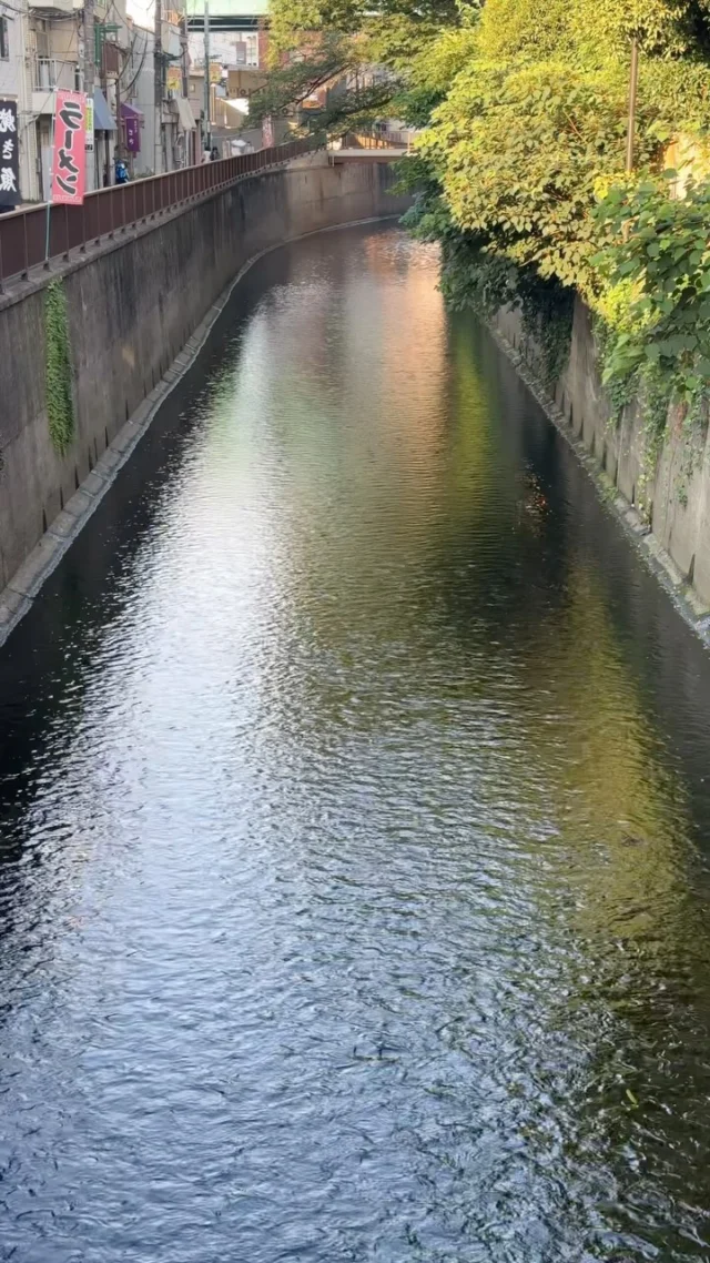 Tokyo, le long de la rivière… 🥰
